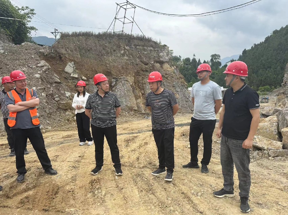 yl34511线路中心集团开展端午节前安全检查